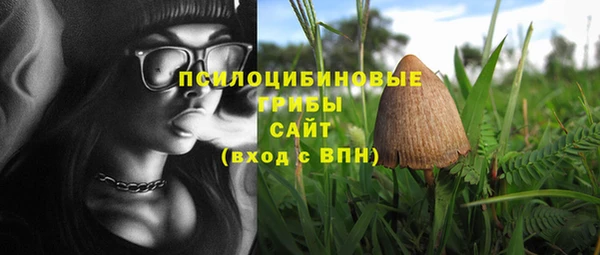 прущая мука Инта
