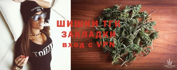 мяу мяу мука Инсар