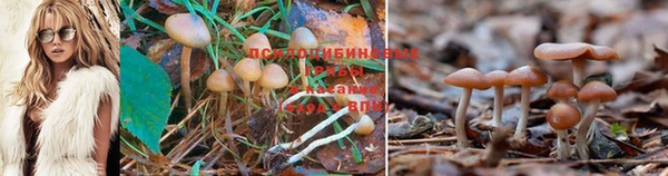 метадон Абдулино