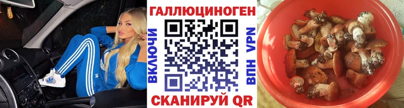 даркнет сайт  Красноармейск  Галлюциногенные грибы мухоморы 